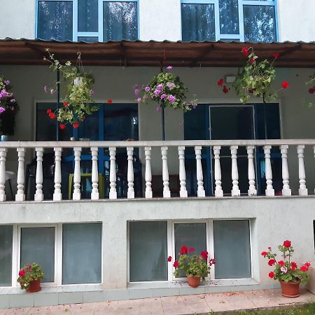 Casa Albastra Ξενοδοχείο Drumu Carului Εξωτερικό φωτογραφία