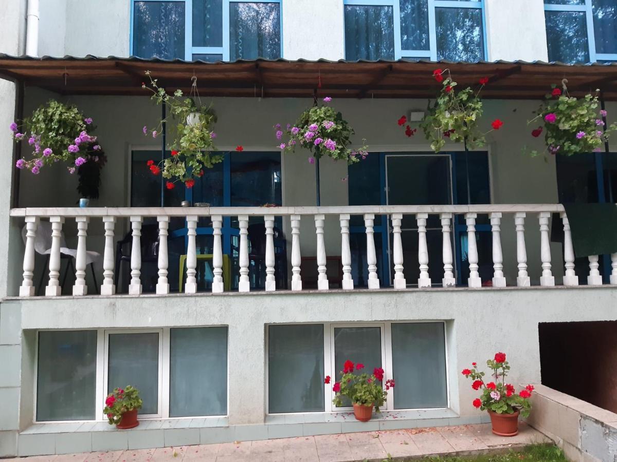 Casa Albastra Ξενοδοχείο Drumu Carului Εξωτερικό φωτογραφία