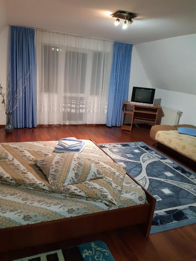 Casa Albastra Ξενοδοχείο Drumu Carului Εξωτερικό φωτογραφία