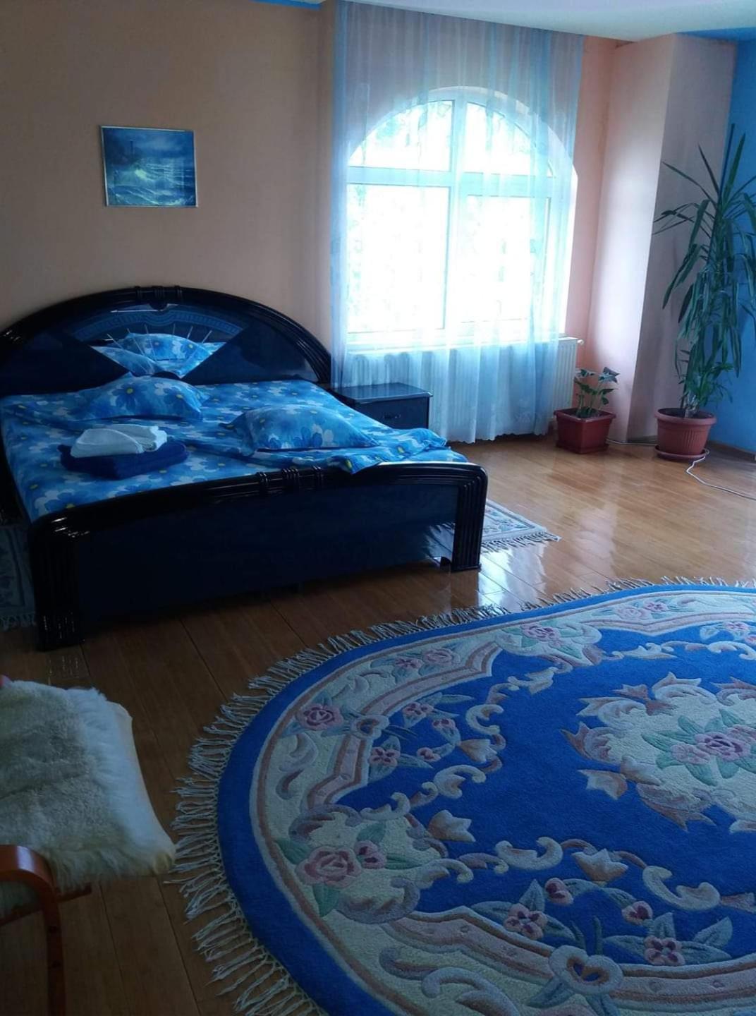 Casa Albastra Ξενοδοχείο Drumu Carului Δωμάτιο φωτογραφία
